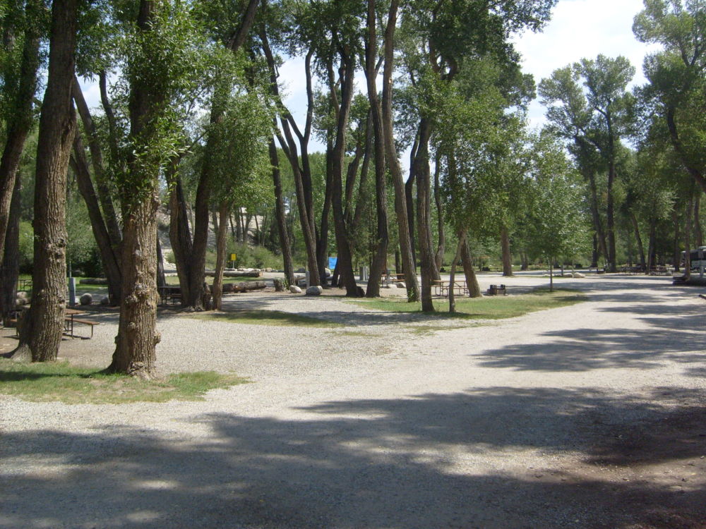 6 Level Shaded Sites and Wide Roads Chalk Creek Campground Buena